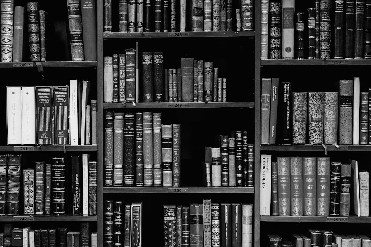 Shelves of law books in the firm library